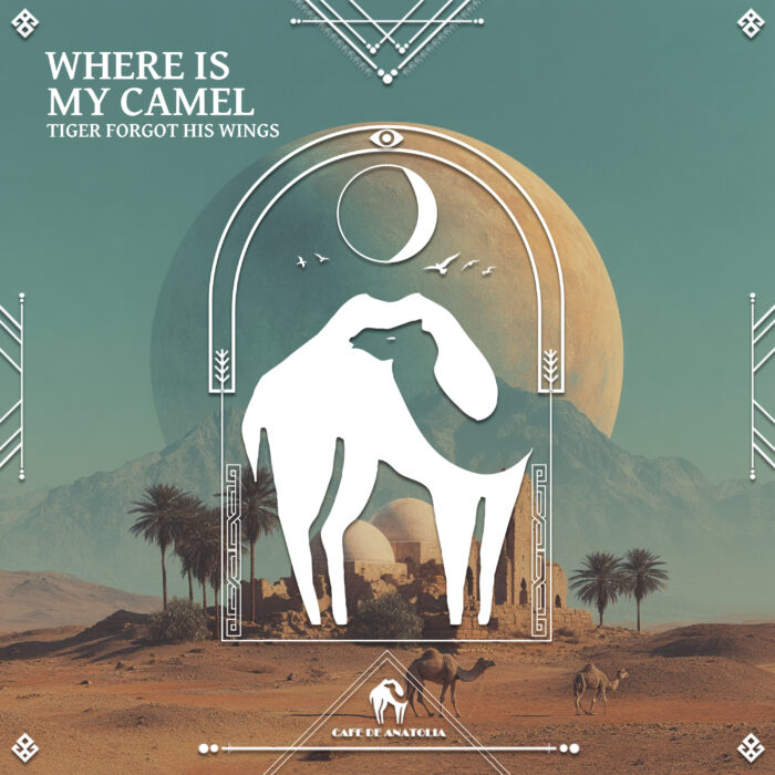 Where Is My Camel