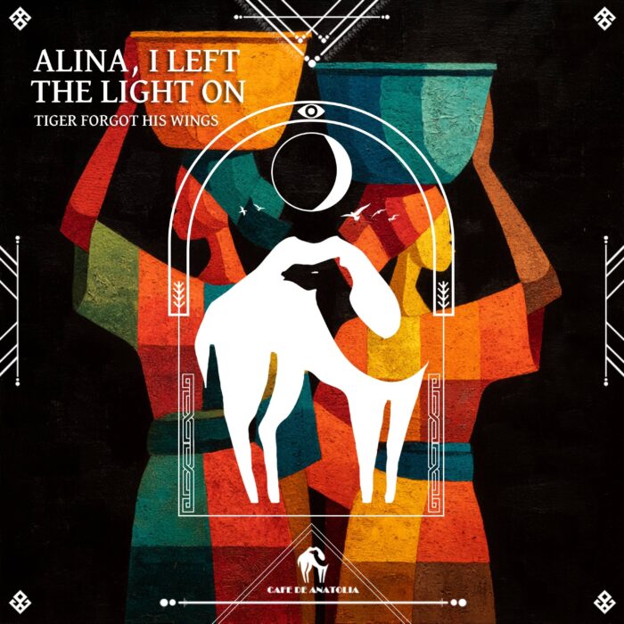 Alina, I left the light on